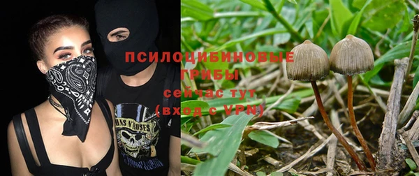 прущие крисы Корсаков